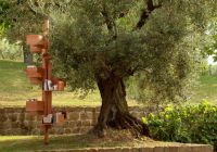 Poltrona Frau presenta Albero Limited Edition