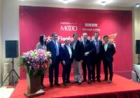 Flexform Peking wurde 10 Jahre alt