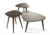 Fifties Coffee table by Gallotti&Radice